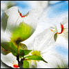 Thinking of You at Easter  -- Printable Everyday Easter Greeting Cards eCard from American Greetings