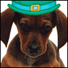 St. Patrick's Day invitations