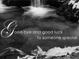 Good-bye to Someone Special good bye & good luck ecards