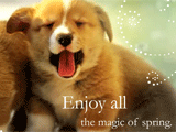 Enjoy The Magic celebrate spring ecards