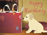 Magic Gift Box pets ecard