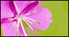 Thank Heaven for You -- Mother's Day eCard from Yahoo! Greetings