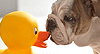 Photo Phun -- Just Because eCard from Yahoo! Greetings