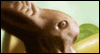 Scary Bunny (Fun Song) -- Funny Easter eCard from Yahoo! Greetings