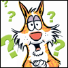 The Big Question 