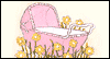Baby Girl Welcome 