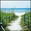 A Husband Truly Loved -- Loss of Family Member Sympathy Greeting Cards project from Yahoo! Greetings