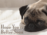 Hope You're Better Soon get well ecards