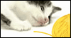 We Have A Ball  -- Thank You eCard from MSN Greetings
