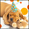 Birthday Dreams 