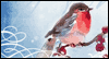 Have A Wonderful Season Winter eCards
