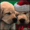 The Greatest Present of All 