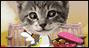 Singing Ecard: The Kitty Cupids