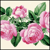 What Is a Mother? -- Significant Other Valentines Day Greeting Cards project from Yahoo! Greetings
