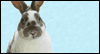 You're Missed at Easter -- Across the Miles Easter eCard from Yahoo! Greetings