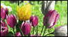 Blessings of Easter -- Religious Easter eCard from Yahoo! Greetings
