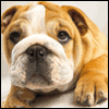 What Wrinkles? 