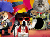 Rock Pet Band (Choose Your Pet) 