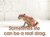 Life's a Drag encouragement ecards