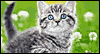 My Wonderful Sister