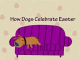 How Dogs Celebrate Easter easter ecards