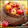Printable Thanksgiving Cards