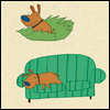 How Dogs Celebrate Birthdays -- Funny Birthday Greeting Cards project from Yahoo! Greetings
