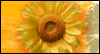 Warm Thanks -- Anytime Thank You eCard from Yahoo! Greetings
