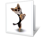 Happy Happy Happy! happy birthday printable cards