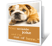 What Wrinkles?