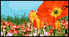 Springtime Joy Spring eCards