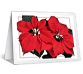 Warm Wishes christmas printable cards