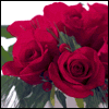 To a Dear Sister 