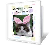 From the Cat