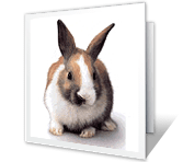 To Somebunny Terrific easter printable cards