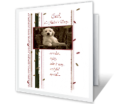 Because Youre Special father's day printable cards