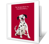 Dog-gone Special