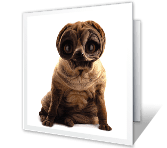 Beautiful People Like Us everyday friend printable cards