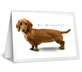 Long on Gratitude saying thanks printable cards