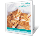 Cuddly Anniversary Wishes happy anniversary printable cards