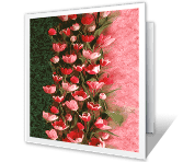A Year of Happy Days happy birthday printable cards