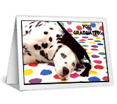 You Did It! graduation printable cards