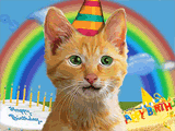 Birthday Kitty pets ecard