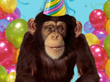 Go Bananas!<br>Talking Card happy birthday ecards