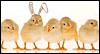 A Favorite Peep Thank You eCards