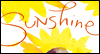 Sunshine Kathy Davis