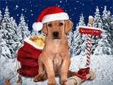 Santa Puppy<br>Talking Card christmas ecards