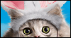 Purrfect Easter Talking Card
