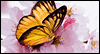 Moms Are Special -- Mother's Day eCard from Yahoo! Greetings
