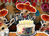 Tequila Chihuahua pets ecard